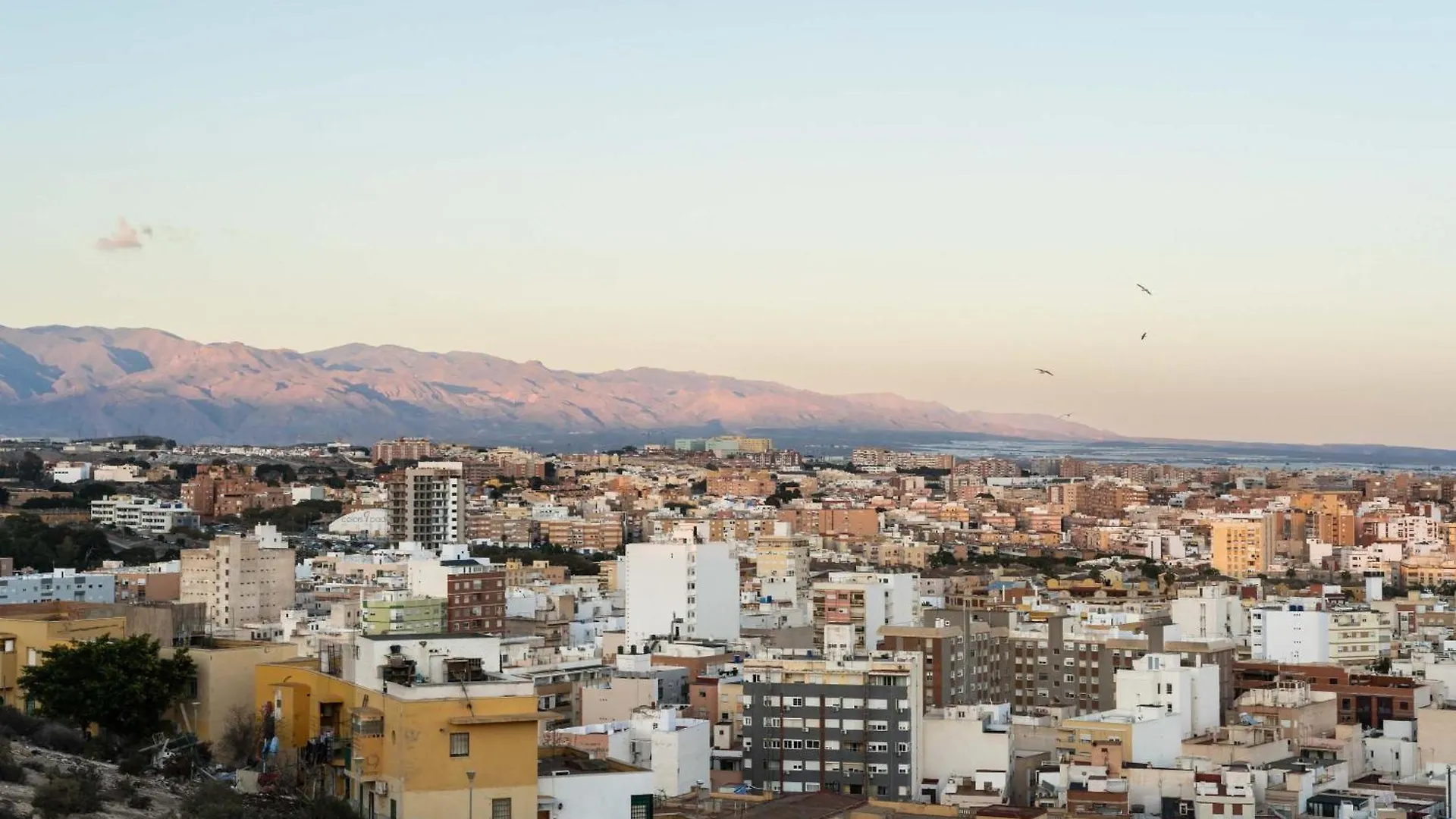 Apartment Limehome Almeria Hernan Cortes